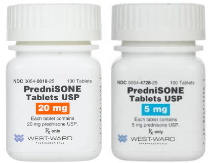 what does prednisone do